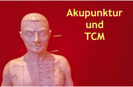 Akupunktur  und TCM
